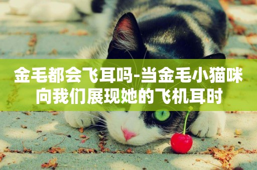 金毛都会飞耳吗-当金毛小猫咪向我们展现她的飞机耳时